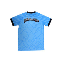 Jsy Vneck LT BLUE  1052